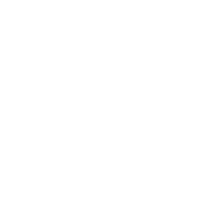 speech icon